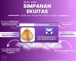 Simpanan Ekuitas